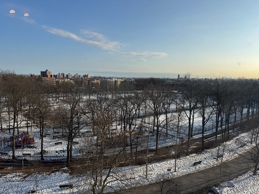 Sweeping view from room overlooking Williamsbridge Oval Park