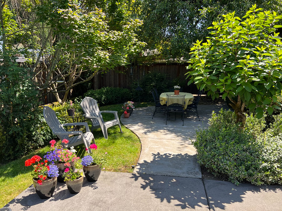 Backyard