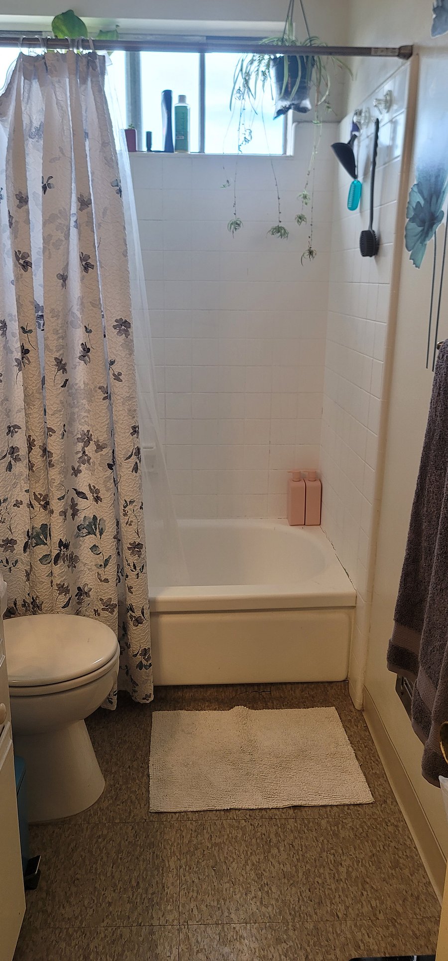 Shared tub/shower