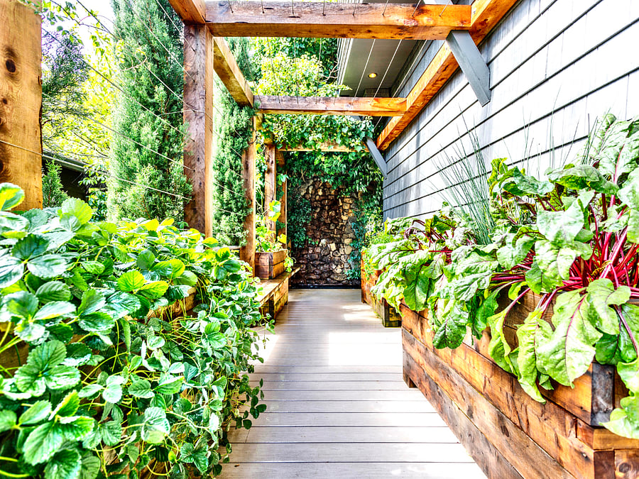 Private garden patio
