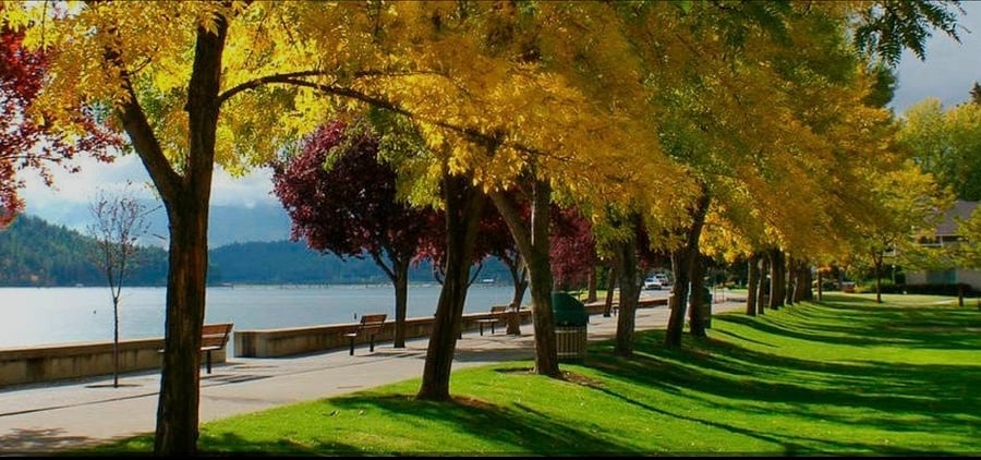 Downtown running trails 