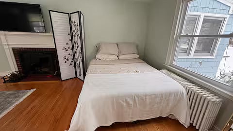 Living room downstairs with queen bed, couch, and fireplace
