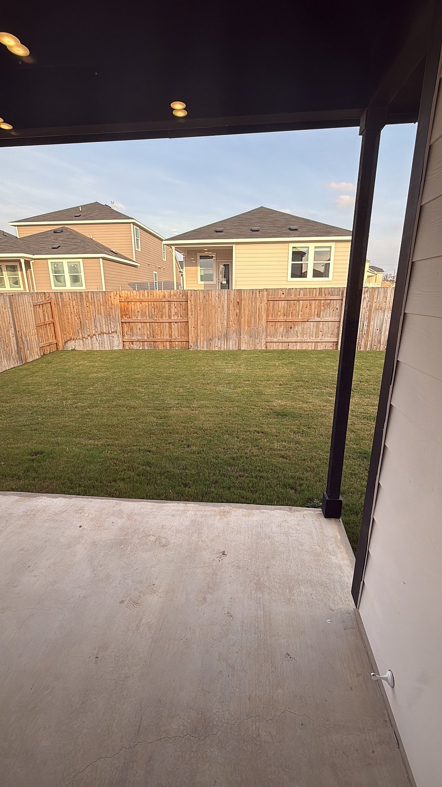 Backyard