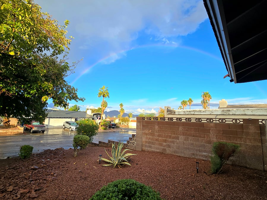 Front yard