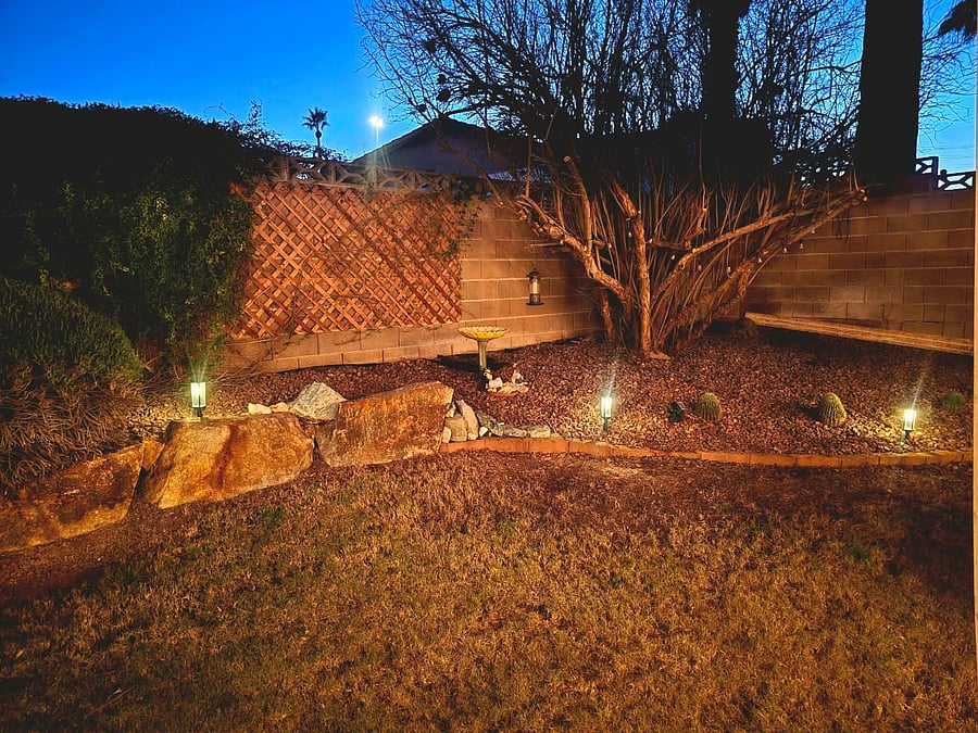 Pomegranate tree at night (winter)