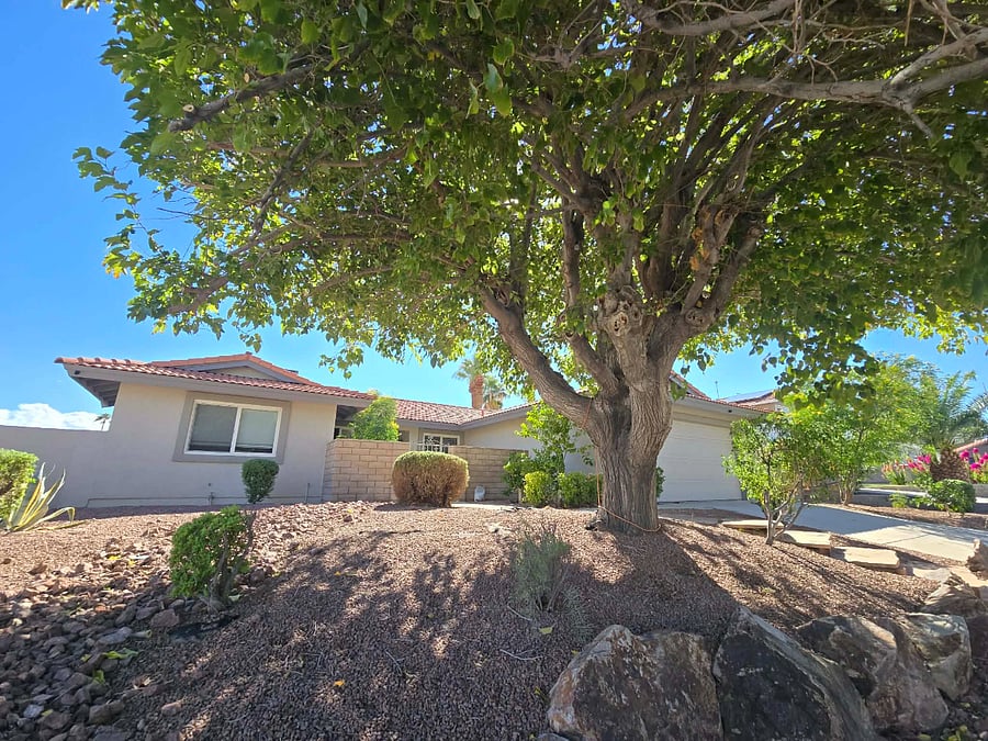 Front yard/house