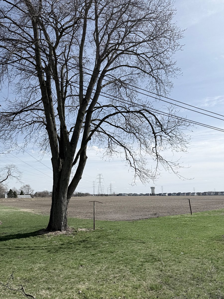 View from the back of the house