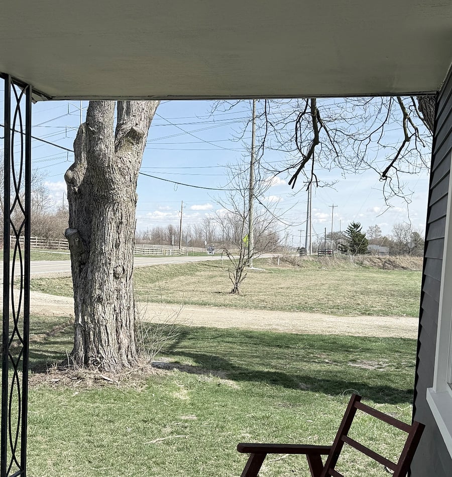 View of the walking path/ entrance to the dog park from the front porch