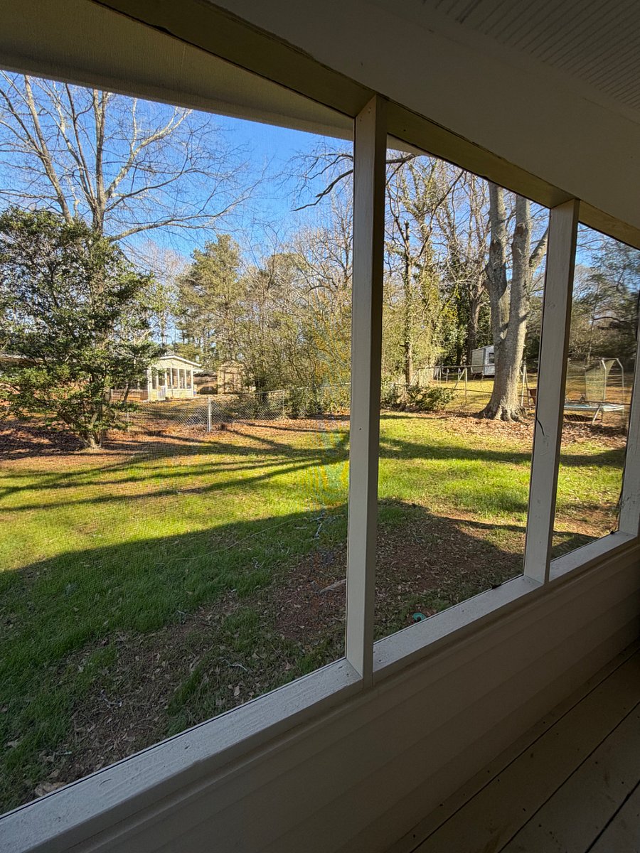 Backyard view from patio