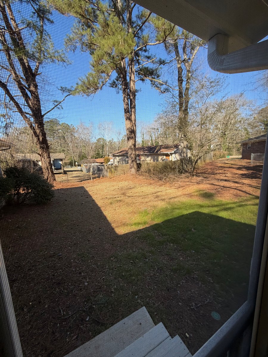 Backyard view from patio