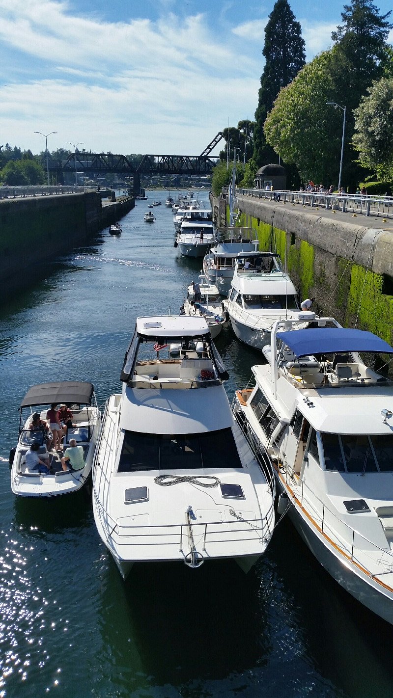 You can walk right to the edge of the boats