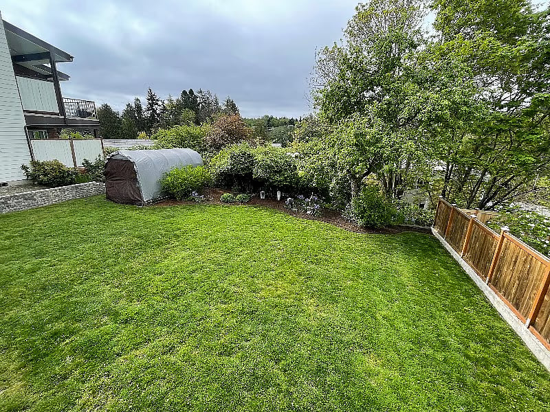 Rare in-city backyard green space to enjoy 
