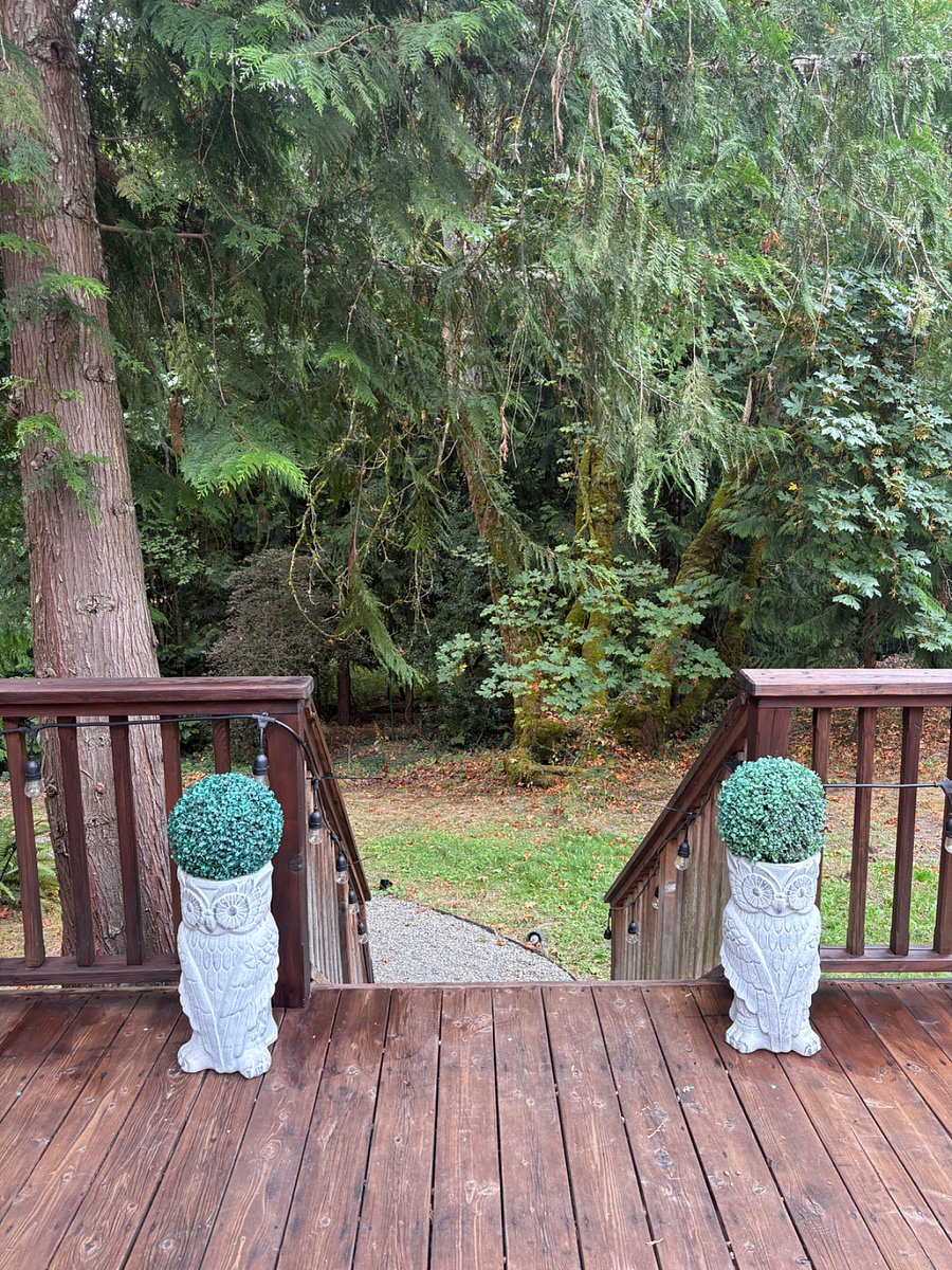 Furnished Finder property 966515_1 photo 20