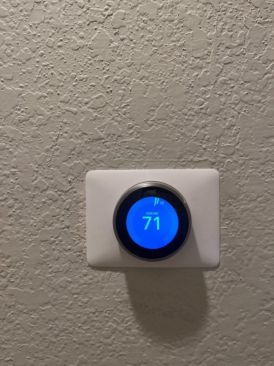 Nest