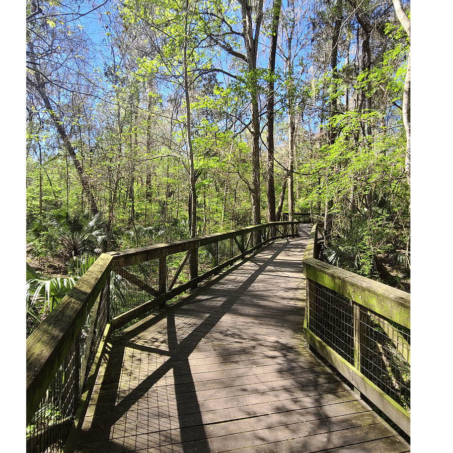 At the end of the parking lot is one of the entrances to Alfred A Ring Park. Great park with a huge pavilion and tons of wooden hiking paths.