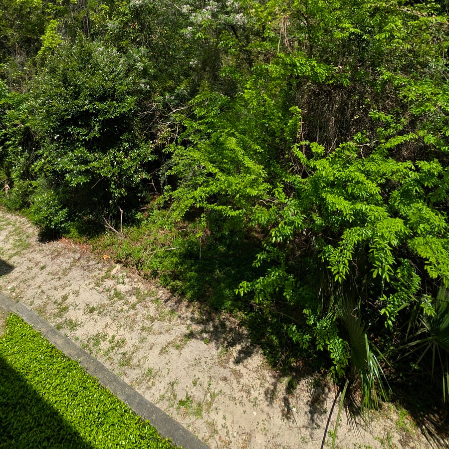 Balcony view - From Bedroom