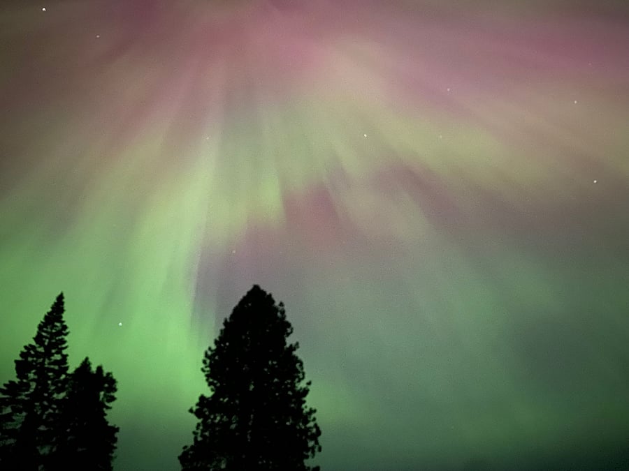 Northern lights from the backyard!