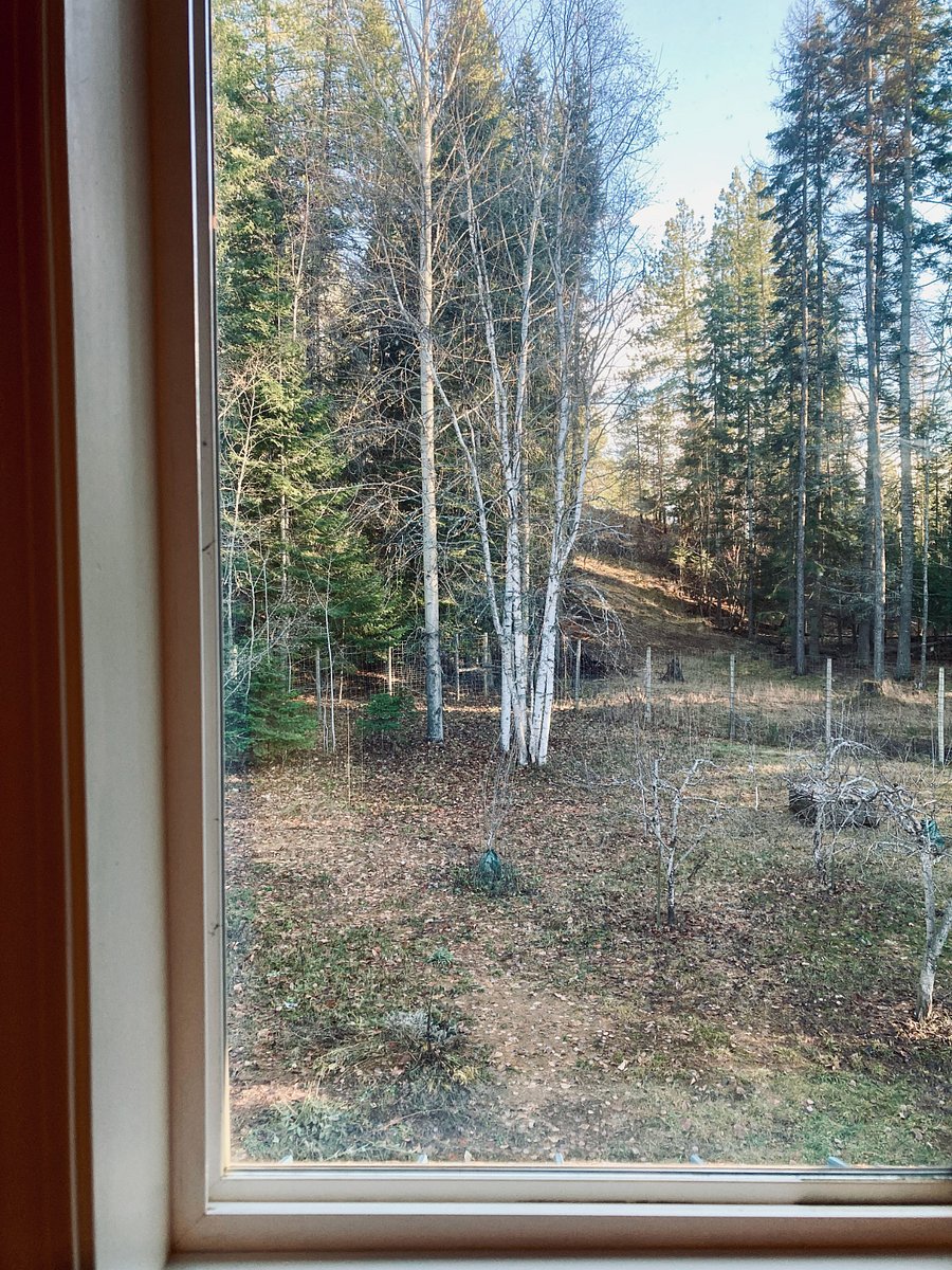 View of private fenced yard from main bedroom.