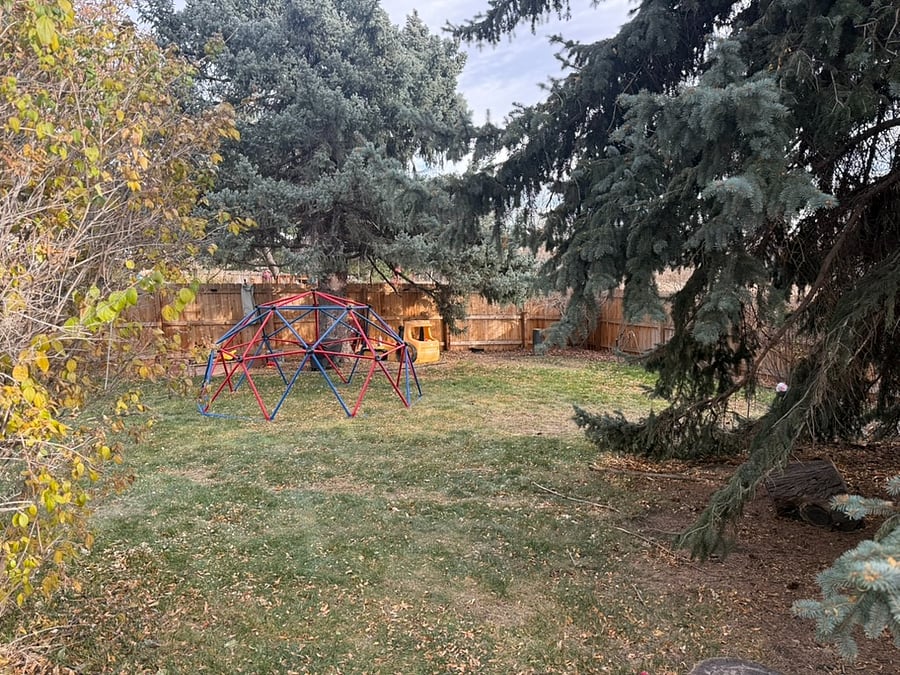 Backyard/ play dome