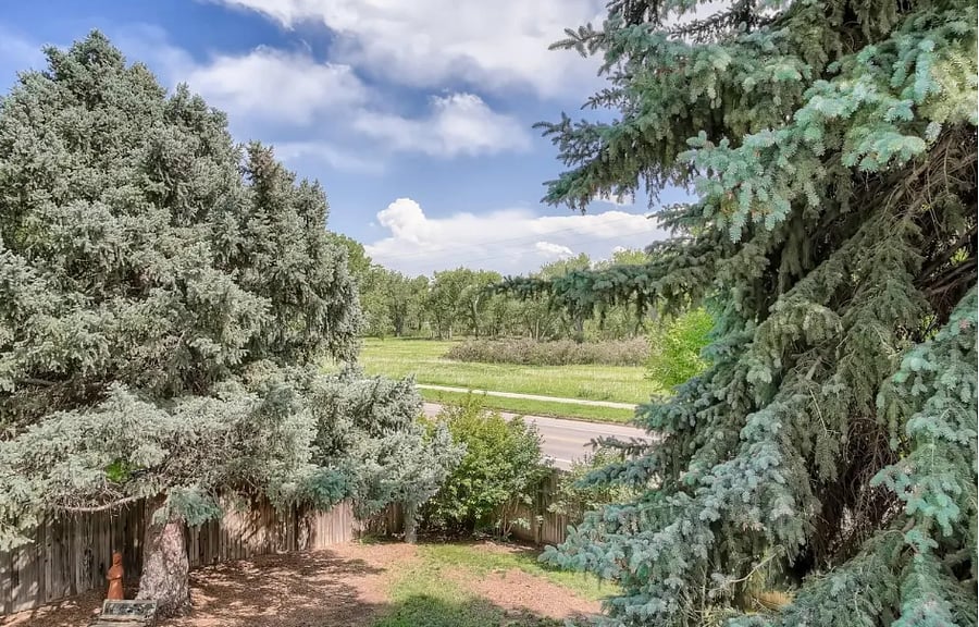 View from backyard across the street to Bear Creek Lake park