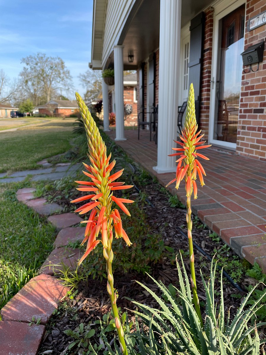 Full Front Porch