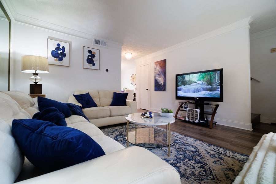 Living Room view 