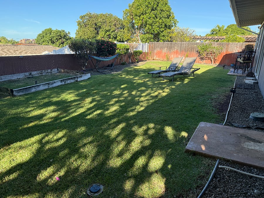 Backyard - Fenced with Tropical Bushes
