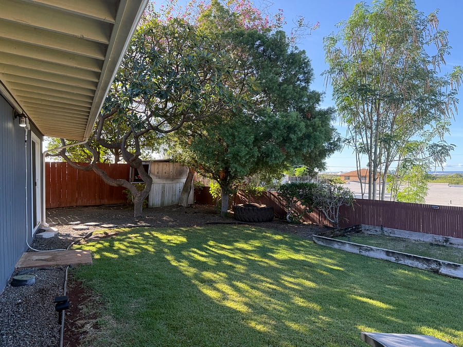 Backyard - Plumeria Tree