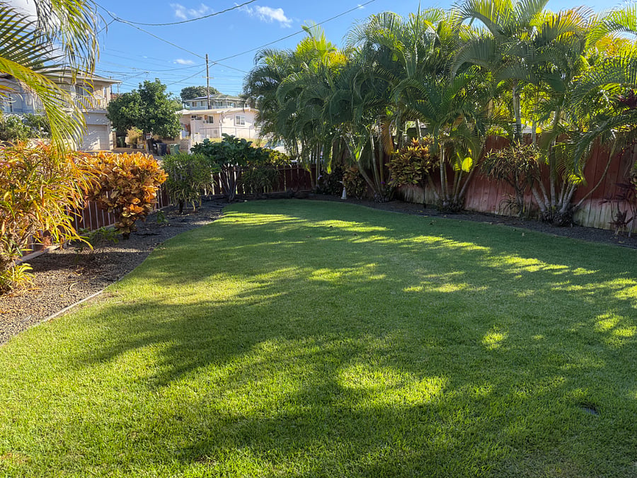 Front Yard with Tropical Plants