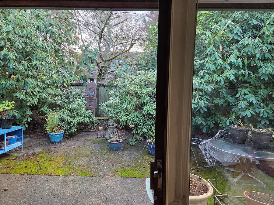 backyard patio
