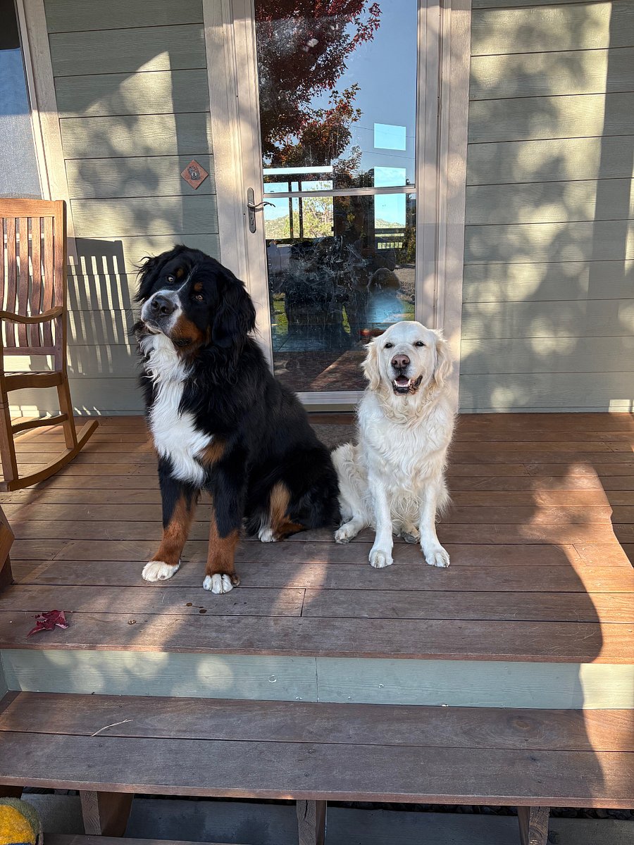 Ruger and Teva