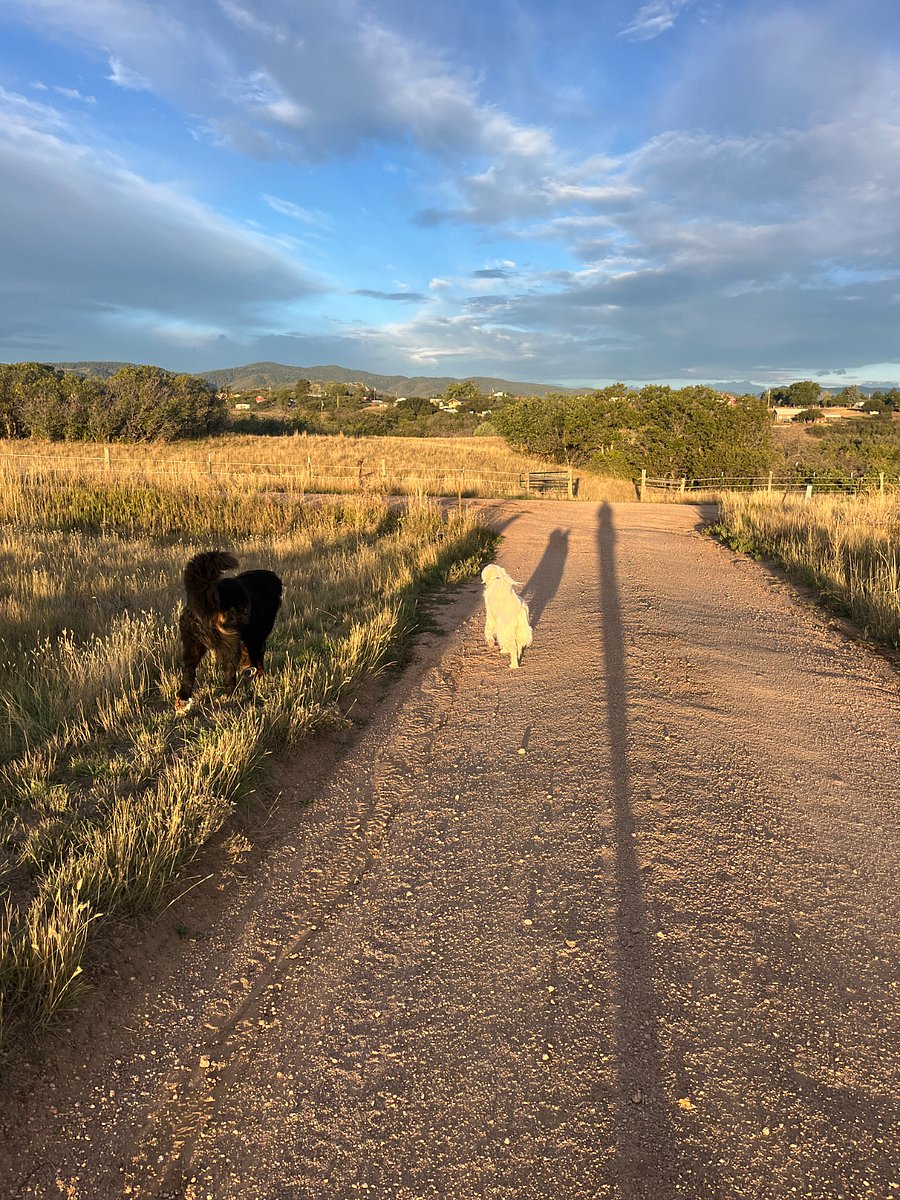 peaceful roads for walking