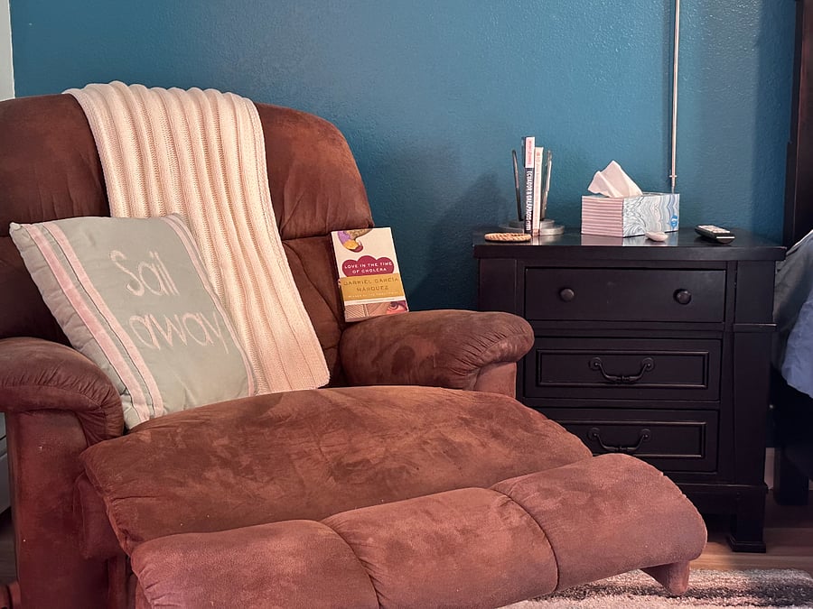Master bedroom comfy chair