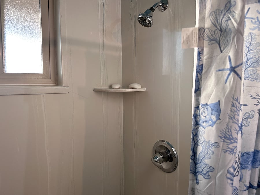 Master bathroom shower & tub