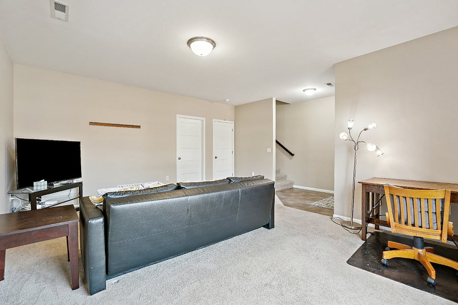Lower level living area