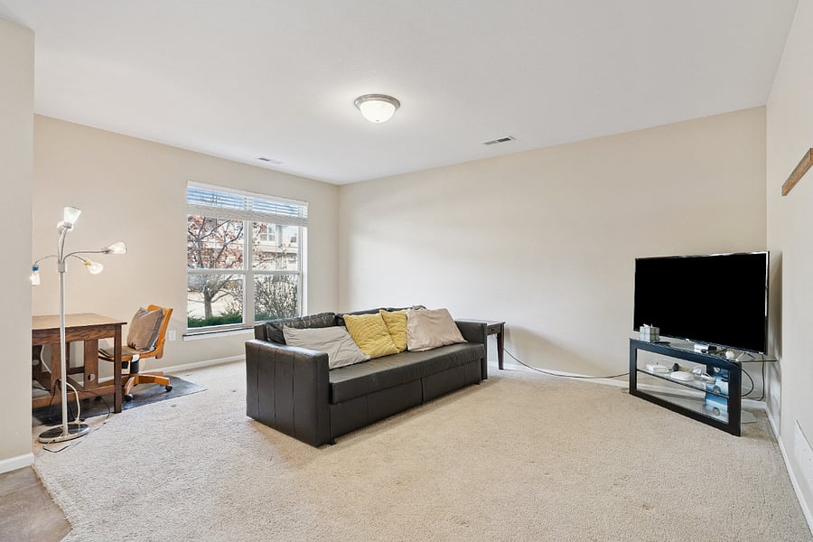 Lower level living area