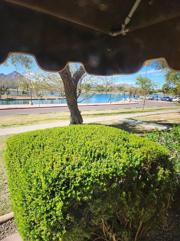 From inside.
