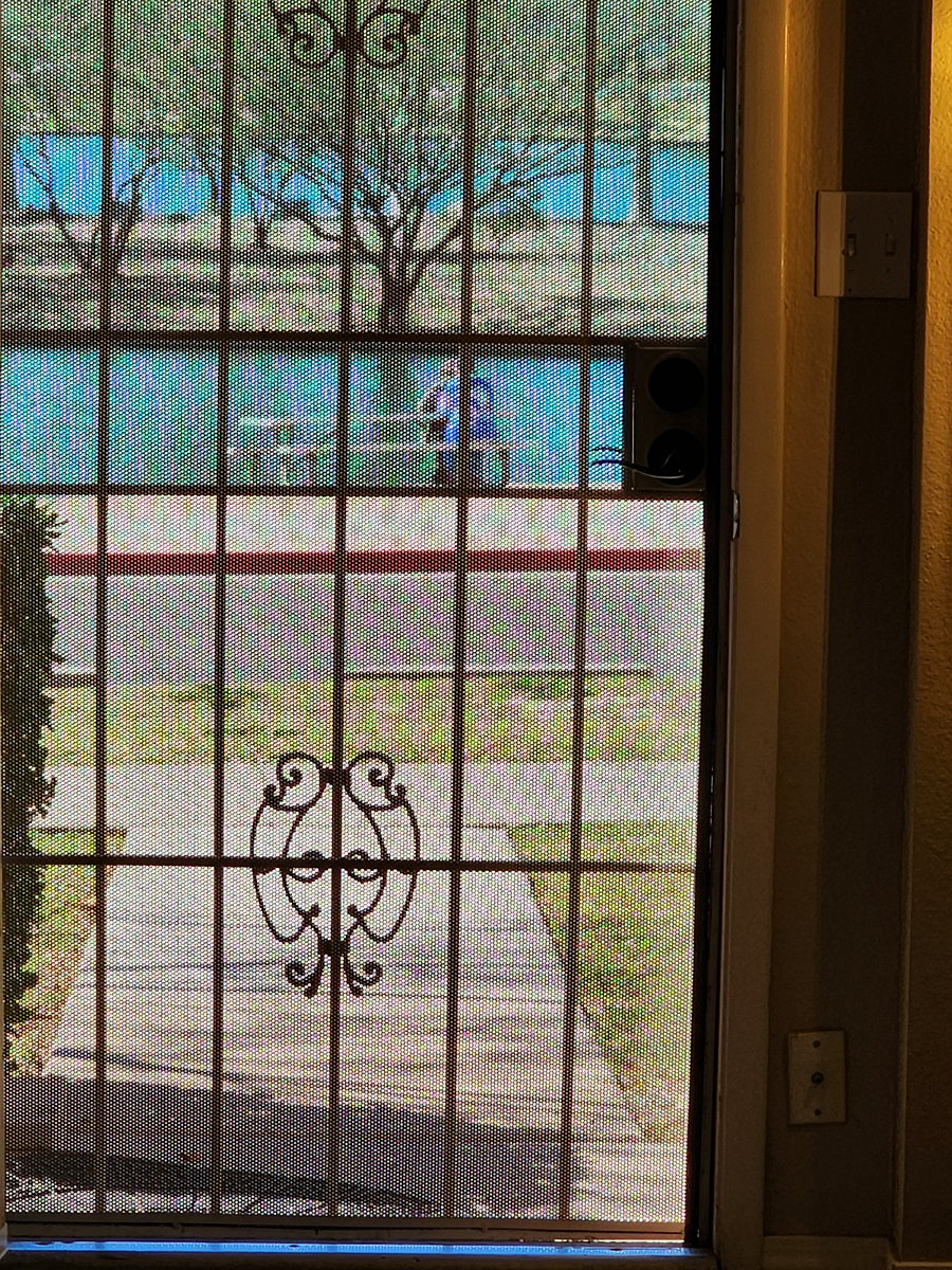 lake view out front security screen door