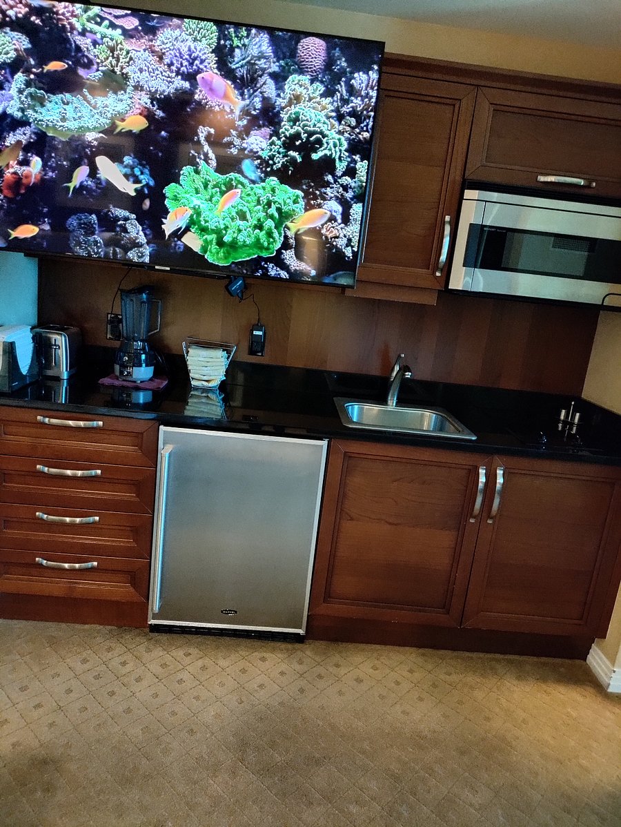 Kitchenette with Two-Burner Stovetop, Microwave, Undercounter Refrigerator (w/Freezer)