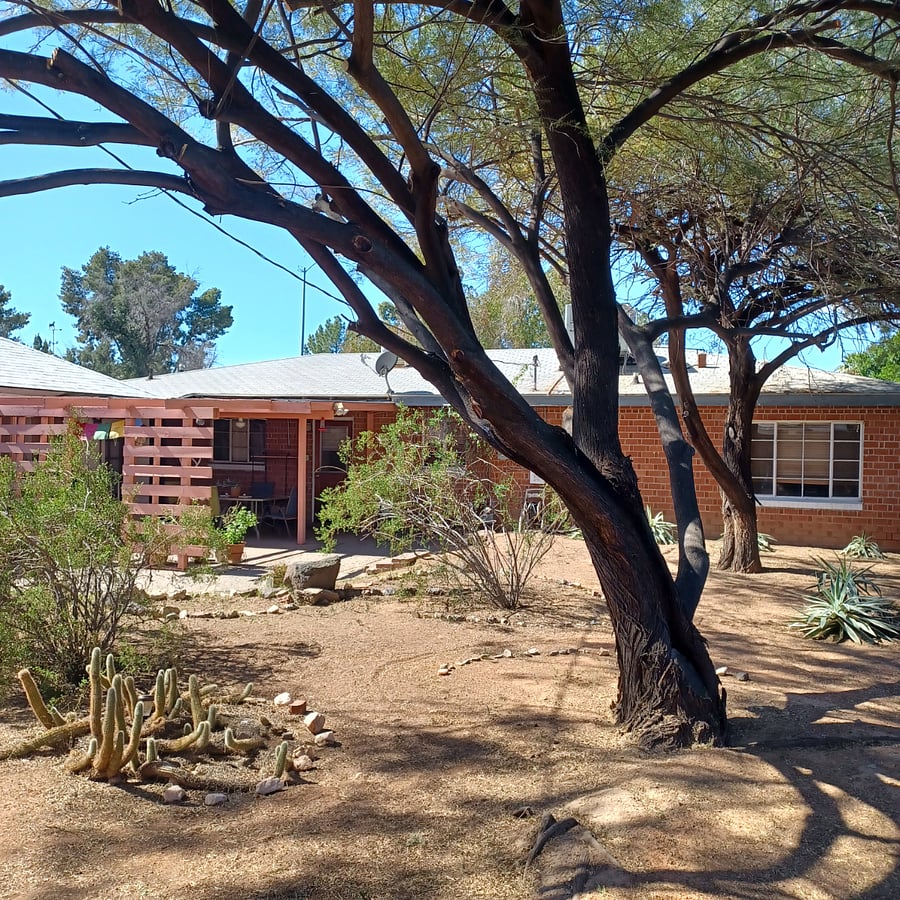 View to the patio and back of house from back yard