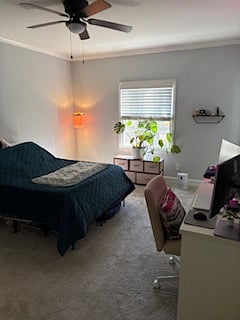 My room