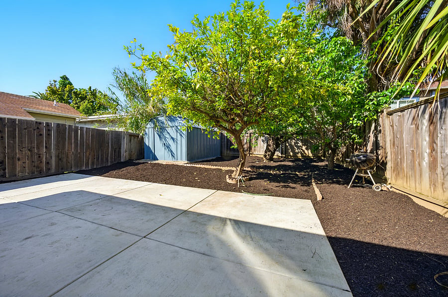 fruit trees, shared back yard with adu, extra storage available