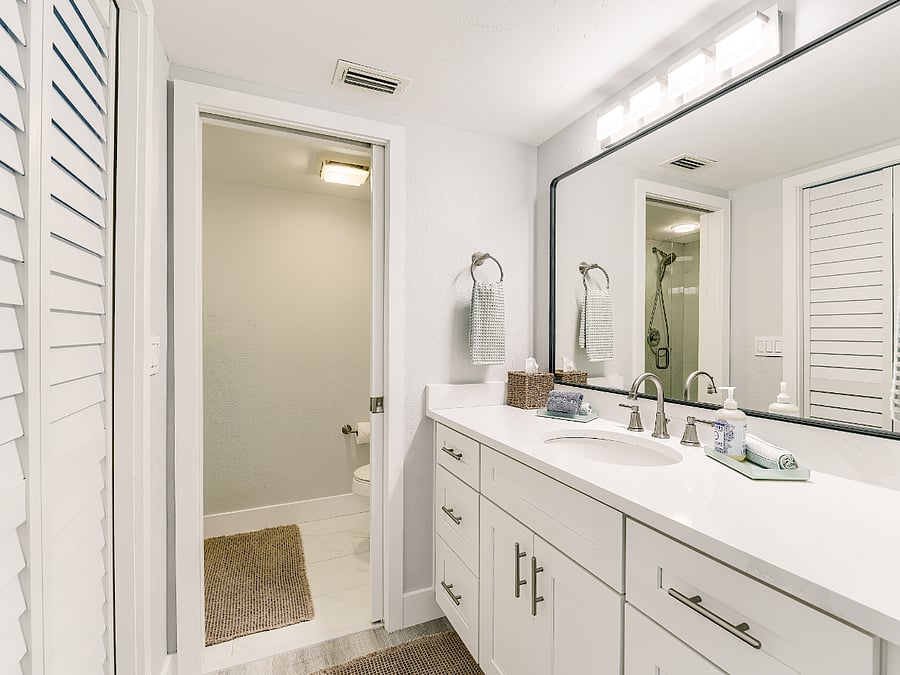 Primary Vanity, pocket door separating shower and toilet