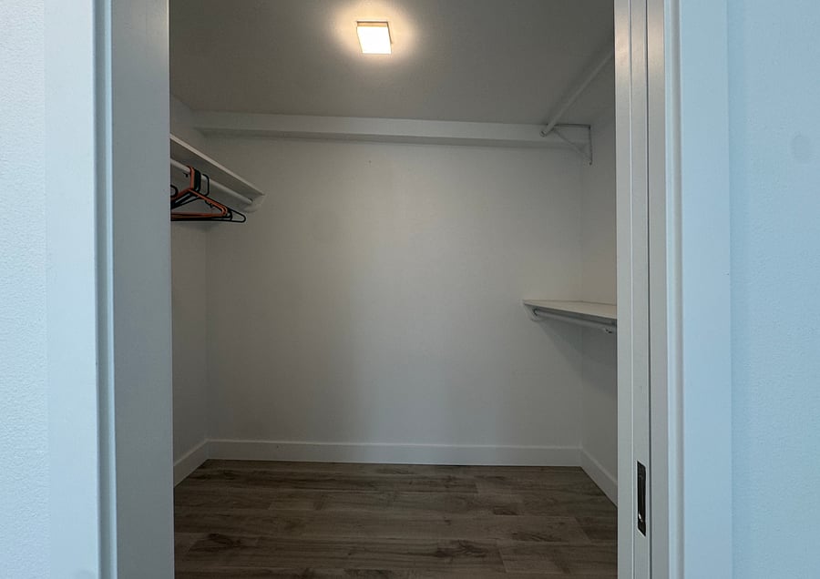 Ample walk-in closet!