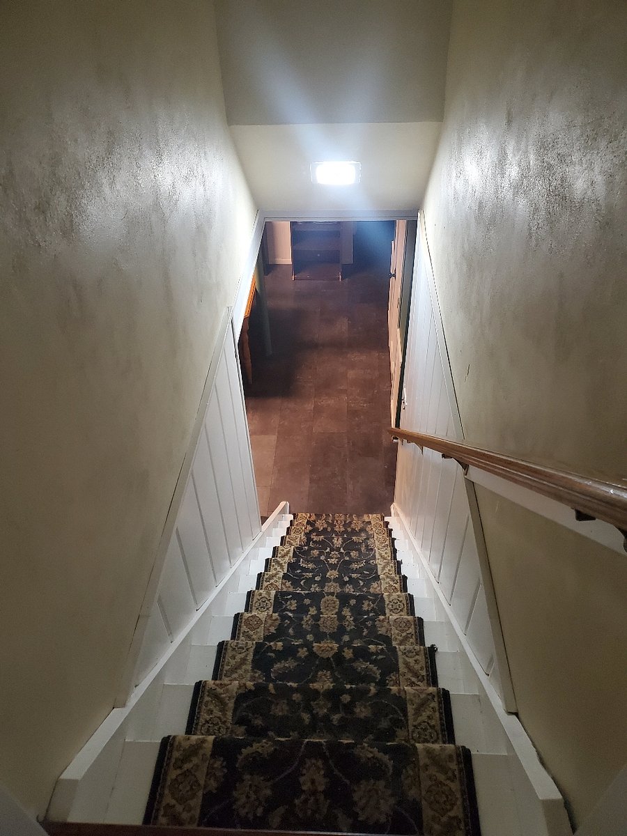 When entering your space, you will go down these stairs, located between the kitchen and living room on the main floor.