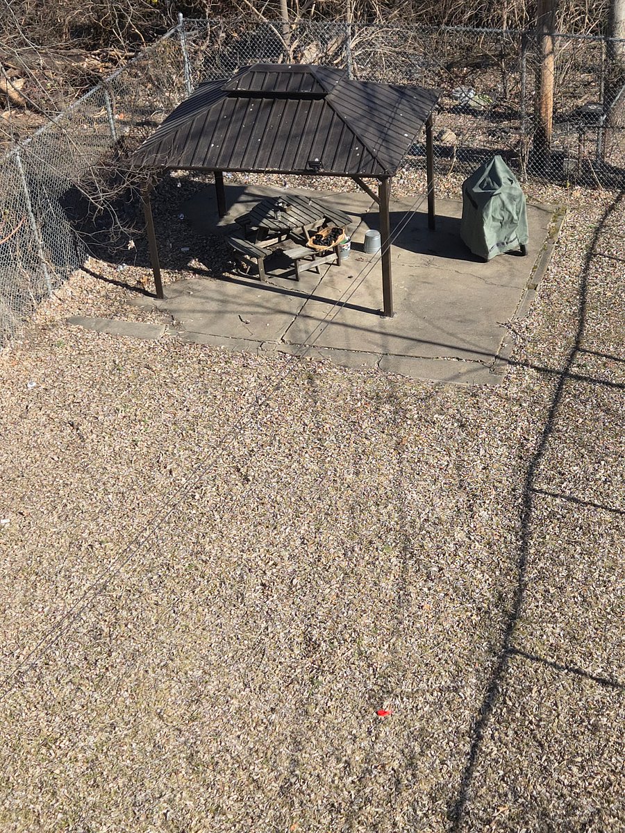 View of the backyard, gazebo, table and barbecue grill Shared with other residents