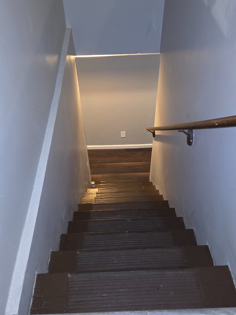 Steps to the lower level