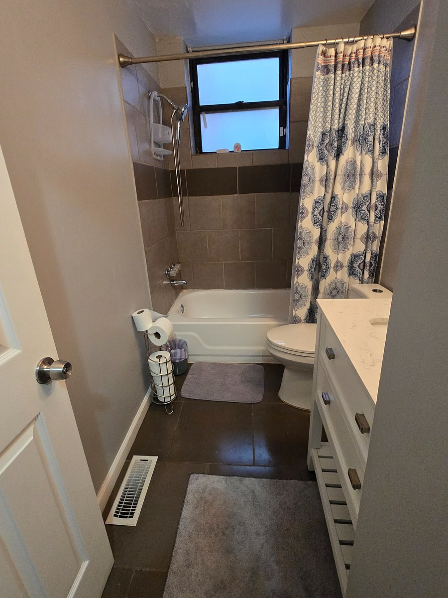 Lower level bathroom