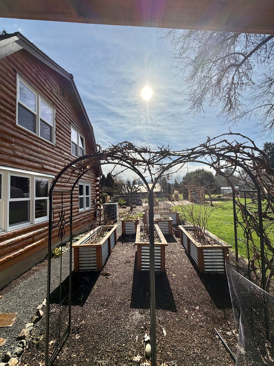 Multiple raised garden beds provide fruit in season including blueberries and grapes.