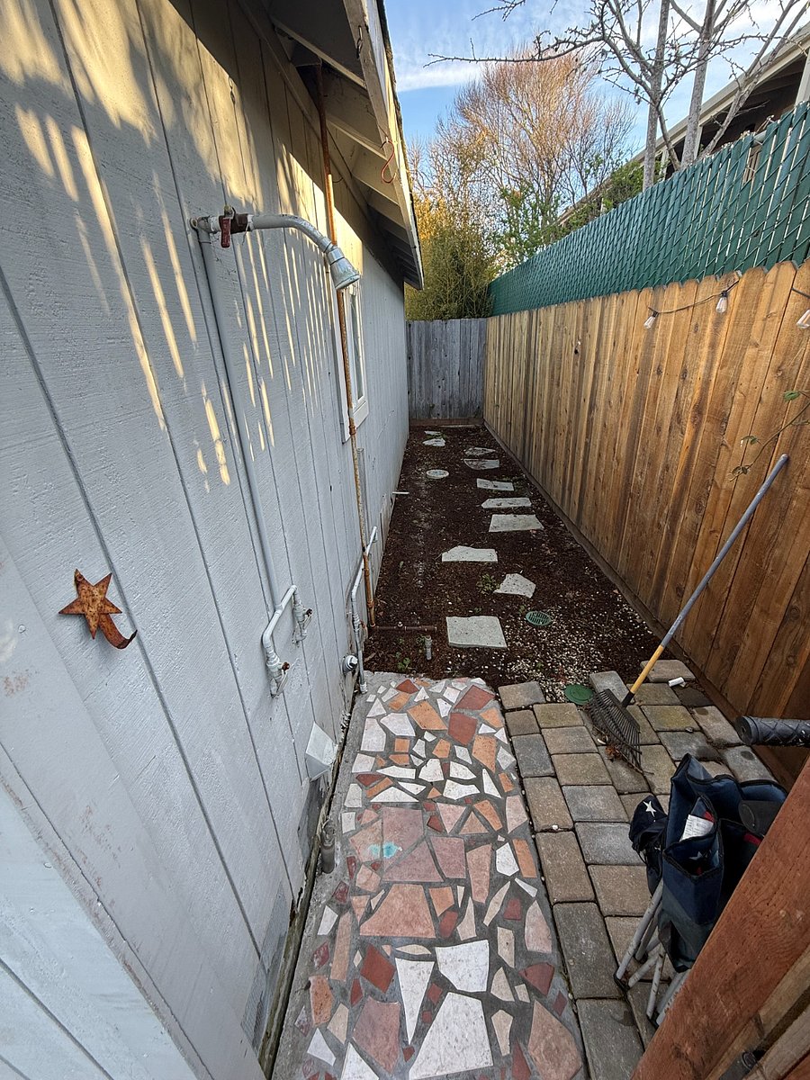 Outdoor shower and side yard